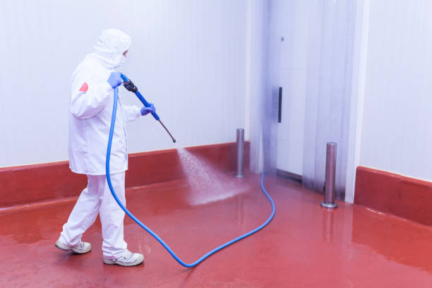 Best Commercial Pressure Washing in Hampton, IA