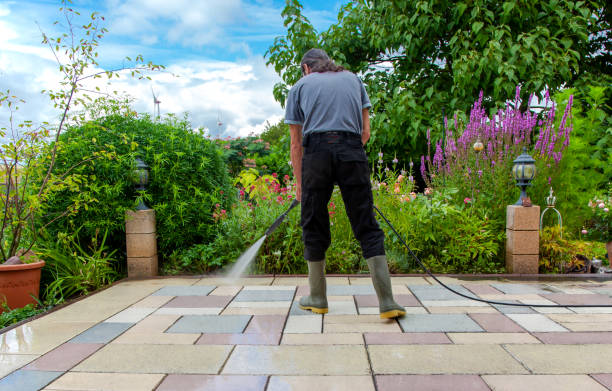 Best Deck and Patio Pressure Washing in Hampton, IA